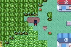 [PokeCommunity.com] Pokémon Quartz "Let's Play" 2.0