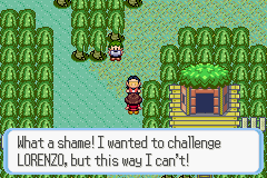 [PokeCommunity.com] Pokémon Quartz "Let's Play" 2.0