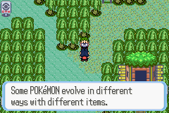 [PokeCommunity.com] Pokémon Quartz "Let's Play" 2.0