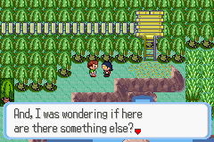 [PokeCommunity.com] Pokémon Quartz "Let's Play" 2.0