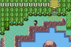 [PokeCommunity.com] Pokémon Quartz "Let's Play" 2.0