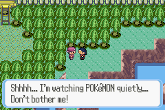 [PokeCommunity.com] Pokémon Quartz "Let's Play" 2.0