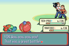 [PokeCommunity.com] Pokémon Quartz "Let's Play" 2.0