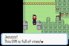 [PokeCommunity.com] Pokémon Quartz "Let's Play" 2.0