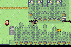 [PokeCommunity.com] Pokémon Quartz "Let's Play" 2.0
