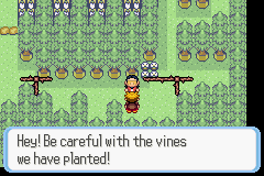 [PokeCommunity.com] Pokémon Quartz "Let's Play" 2.0