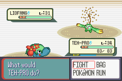 [PokeCommunity.com] Pokémon Quartz "Let's Play" 2.0