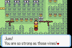 [PokeCommunity.com] Pokémon Quartz "Let's Play" 2.0