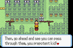 [PokeCommunity.com] Pokémon Quartz "Let's Play" 2.0