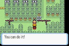 [PokeCommunity.com] Pokémon Quartz "Let's Play" 2.0