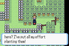 [PokeCommunity.com] Pokémon Quartz "Let's Play" 2.0