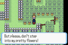 [PokeCommunity.com] Pokémon Quartz "Let's Play" 2.0