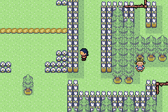 [PokeCommunity.com] Pokémon Quartz "Let's Play" 2.0