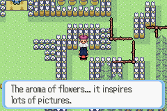 [PokeCommunity.com] Pokémon Quartz "Let's Play" 2.0