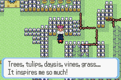 [PokeCommunity.com] Pokémon Quartz "Let's Play" 2.0