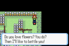 [PokeCommunity.com] Pokémon Quartz "Let's Play" 2.0