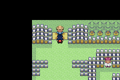 [PokeCommunity.com] Pokémon Quartz "Let's Play" 2.0