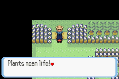 [PokeCommunity.com] Pokémon Quartz "Let's Play" 2.0