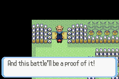 [PokeCommunity.com] Pokémon Quartz "Let's Play" 2.0