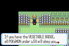 [PokeCommunity.com] Pokémon Quartz "Let's Play" 2.0