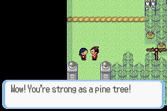 [PokeCommunity.com] Pokémon Quartz "Let's Play" 2.0