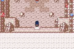[PokeCommunity.com] Pokémon Quartz "Let's Play" 2.0