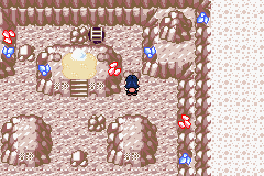 [PokeCommunity.com] Pokémon Quartz "Let's Play" 2.0