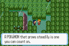 [PokeCommunity.com] Pokémon Quartz "Let's Play" 2.0