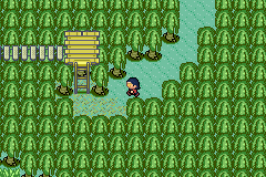 [PokeCommunity.com] Pokémon Quartz "Let's Play" 2.0