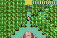 [PokeCommunity.com] Pokémon Quartz "Let's Play" 2.0