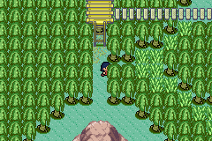 [PokeCommunity.com] Pokémon Quartz "Let's Play" 2.0