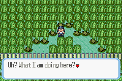 [PokeCommunity.com] Pokémon Quartz "Let's Play" 2.0