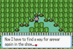 [PokeCommunity.com] Pokémon Quartz "Let's Play" 2.0