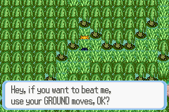 [PokeCommunity.com] Pokémon Quartz "Let's Play" 2.0