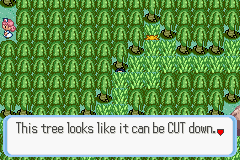 [PokeCommunity.com] Pokémon Quartz "Let's Play" 2.0