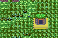 [PokeCommunity.com] Pokémon Quartz "Let's Play" 2.0
