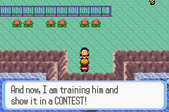 [PokeCommunity.com] Pokémon Quartz "Let's Play" 2.0