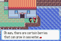 [PokeCommunity.com] Pokémon Quartz "Let's Play" 2.0