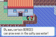[PokeCommunity.com] Pokémon Quartz "Let's Play" 2.0