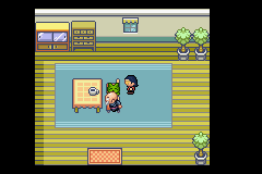 [PokeCommunity.com] Pokémon Quartz "Let's Play" 2.0