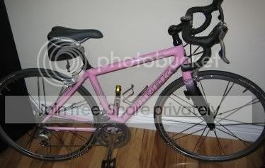 HELP Trek 5.2 WSD pilot 2006, was this 