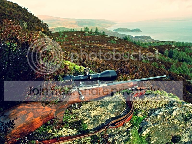 eaa8ffd2-48d7-4453-ab8f-0db69fe89309_zpsjvsrkdt9.jpg