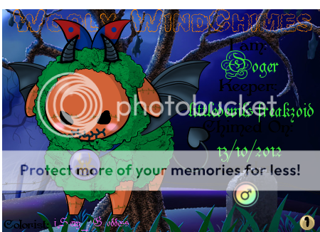 User Image