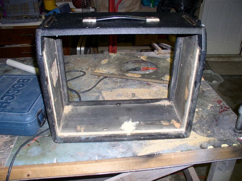 PrincetonAmp773stripped.jpg