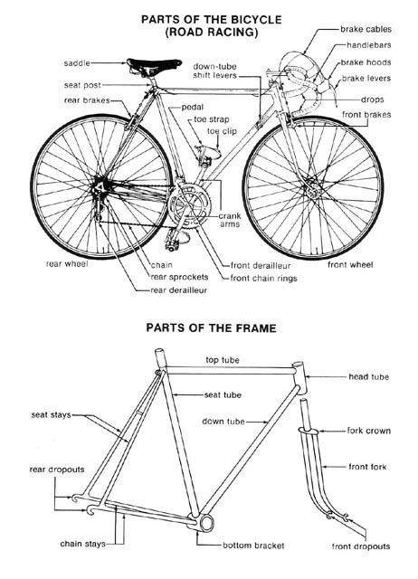 Help me Identify a Schwinn..but first some questions. - Bike Forums